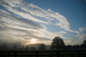 vangog-sky vangog-sky